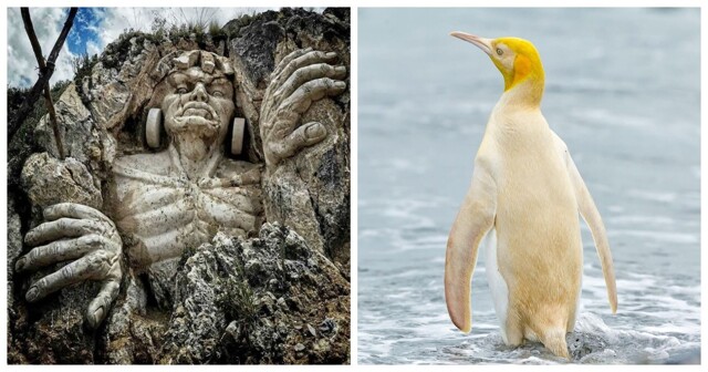 20 снимков, которые помогут ощутить простую магию нашего мира