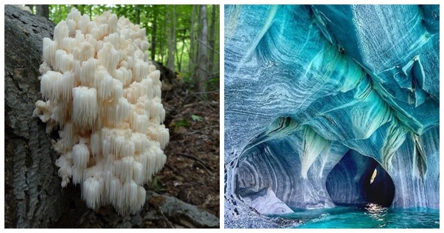 20 фотографий, которые вернут вам веру в чудо