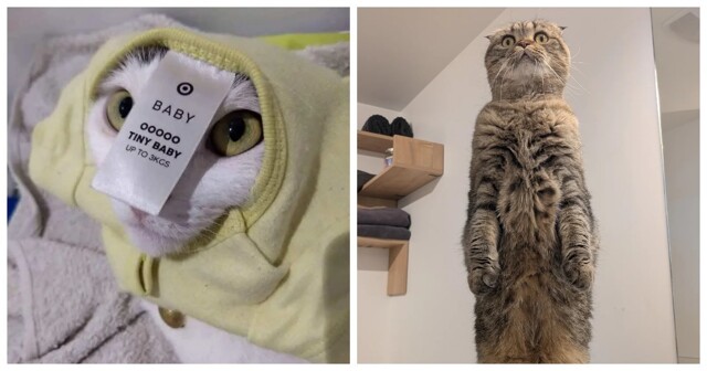 20 фото, которые лечат душу лучше любой терапии