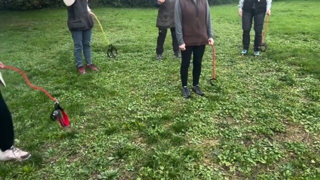 Маразм крепчал: к хоббихорсерам присоединились хоббидогеры