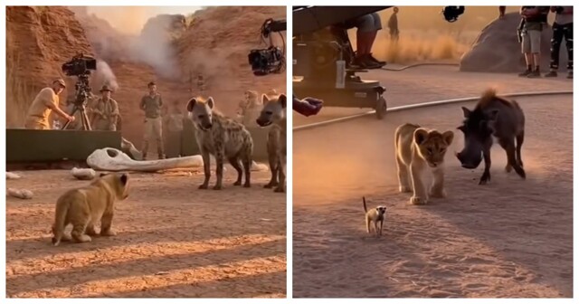 Как снимали бы «Короля Льва» без CGI: нейросеть показала забавную версию классики