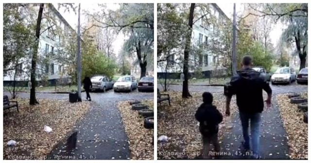 Собака кусает — хозяин бьёт: колпинский сюрприз выходного дня