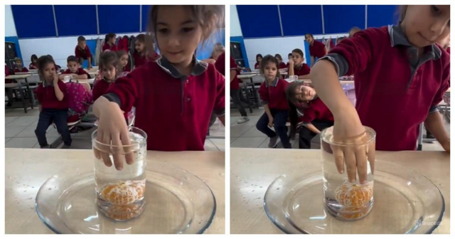 Дети пытаются достать мандарин из стакана с водой