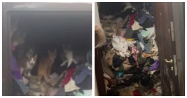 Женщина превратила квартиру в свалку
