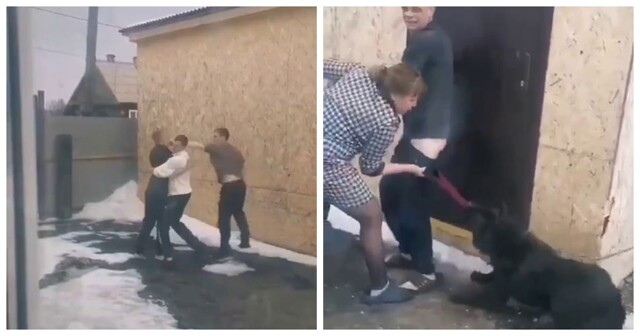 Когда драка выходит из-под контроля: вмешалась даже собака