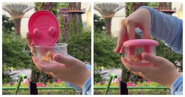 Забавная крышка контейнера