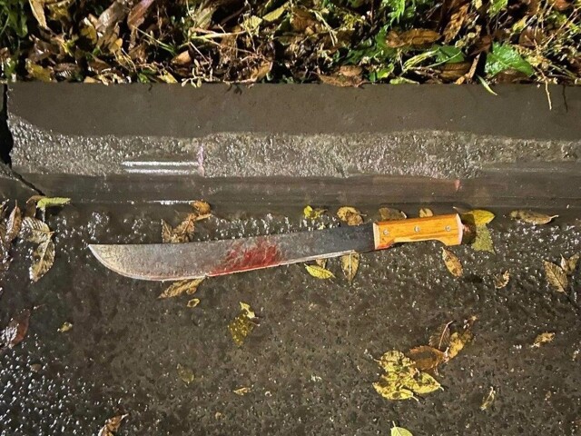 Мужчина напал с мачете на бывшую жену и её сожителя