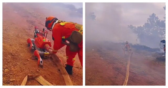 Робопёс помогает тушить пожары