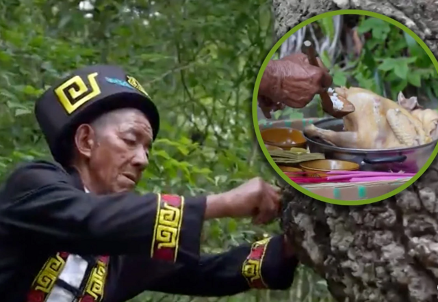 Дерево-обжора: почему в Китае деревья «едят» свинину и пьют вино