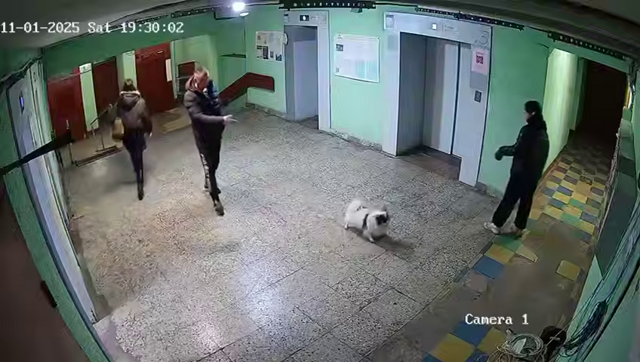 «Ты держи собаку свою, а то она не доедет»: неадекват швырнул чужого пса в стену за то, что тот гавкнул