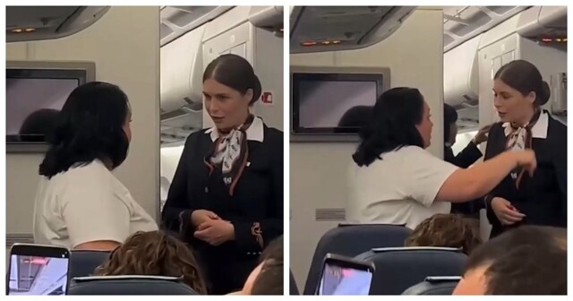 Пассажирка российского самолета начала курить и пригрозила потушить сигарету о стюардессу