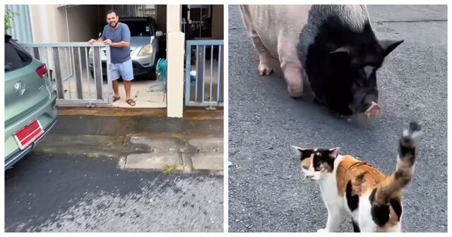 Мужчина снял двухэтажный дом на Пхукете за 30 тысяч рублей в месяц