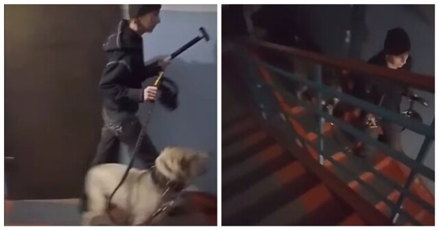 В Омске женщина с молотком и отверткой пугает соседей