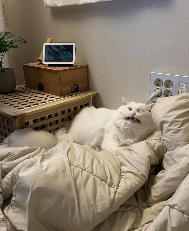 Моё лицо в рандомное утро ноября