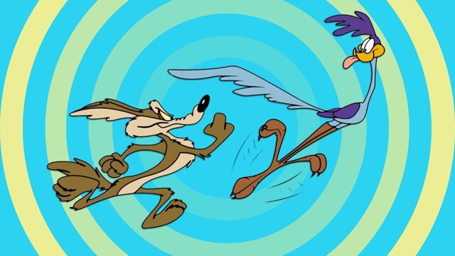 В США засняли погоню койота за дорожным бегуном