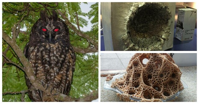 30 впечатляющих снимков со всего света