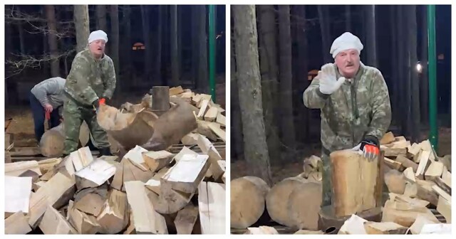 Лукашенко показал мастер-класс по колке дров на чемпионате в Беларуси