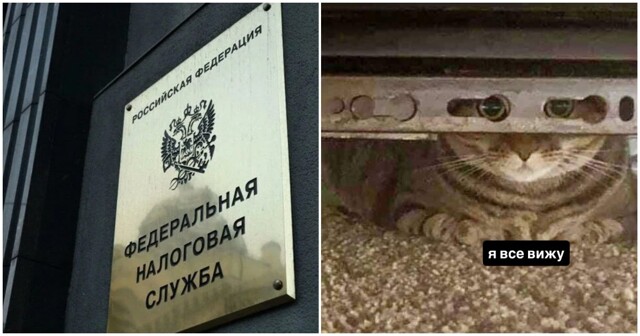 ФНС решила бороться со скрывающими доход неработающими москвичами