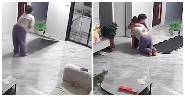 Беременная женщина пострадала из-за падения зеркала, опрокинутого котом