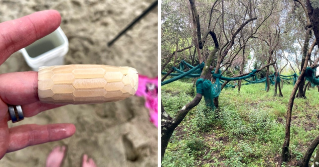 Необычные находки и их объяснение пользователями сети