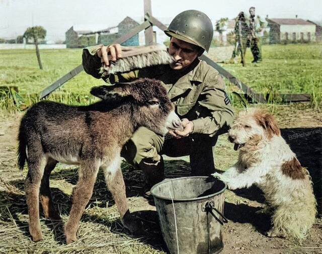 Редкие и интересные фотоматериалы с фронтов Второй Мировой Войны