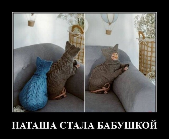 Демотиваторов порция