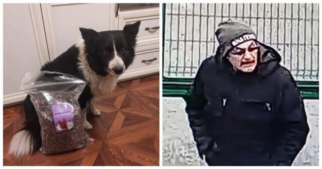 Задержан мужчина, подозреваемый в многолетних кражах собак