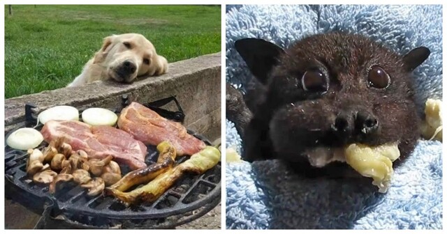 30 поводов начать неделю с позитива