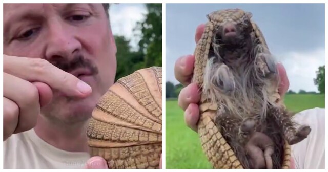 Неожиданный факт о броненосцах