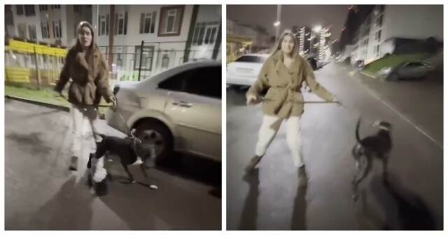 В Питере женщина спустила собаку на мужчину, сделавшего ей замечание