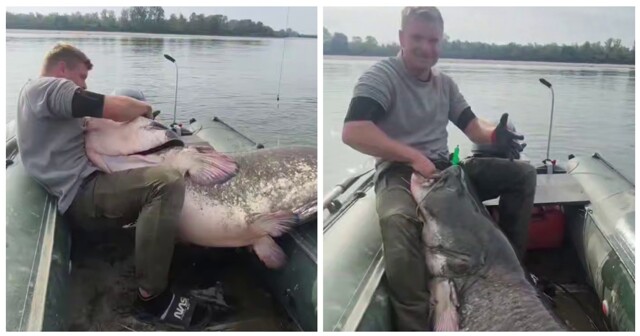 Польские рыбаки поймали огромного сома
