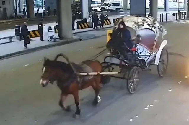 Петербуржцы приехали в аэропорт Пулково на карете