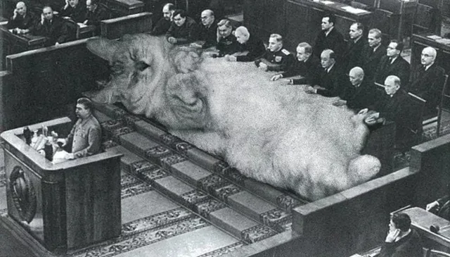 Что они опять там чешут?!⁠⁠