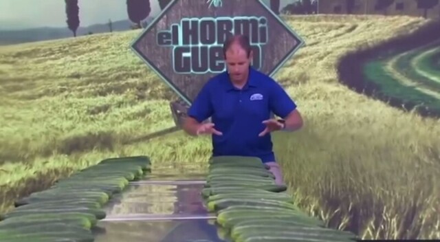 Американец установил странный рекорд