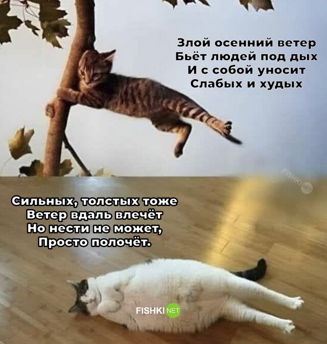 Большая тарелка улыбатора