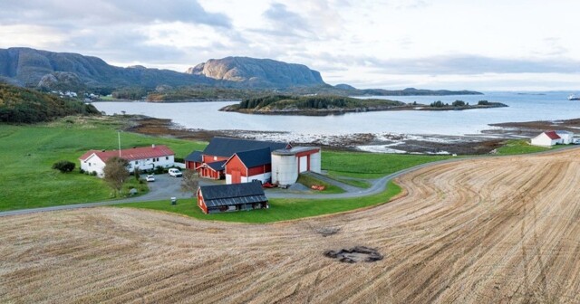 В Норвегии найдена уникальная могила эпохи викингов