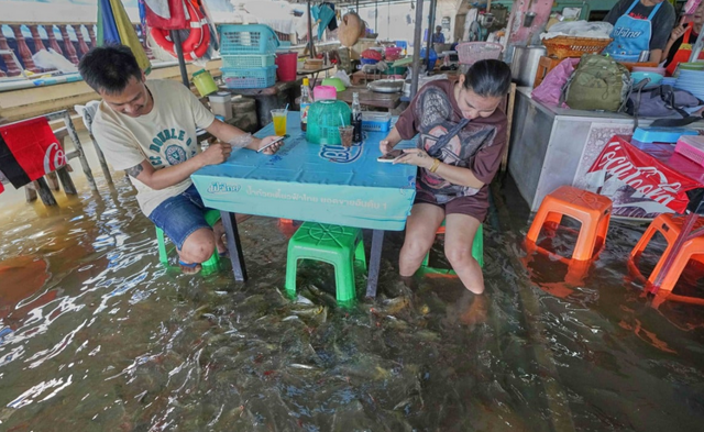 Бизнес на катастрофе или рыбный успех тайского ресторана
