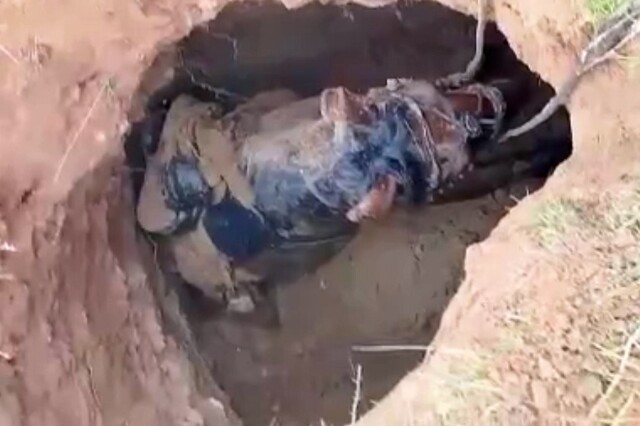 Лошадь провалилась в старинный склеп в Астраханской области