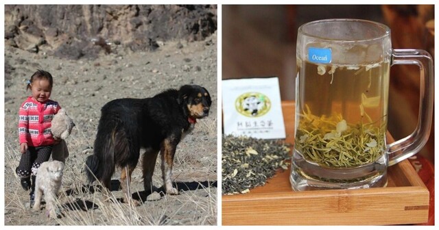 10 фактов из разных областей знаний, которые откроют доступ к тайнам мира