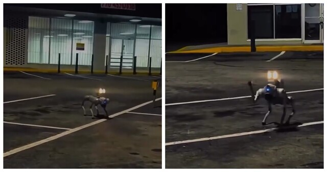 Робопсы начали патрулировать парковки в США