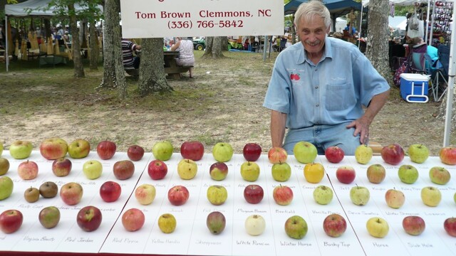 Пенсионер собрал крупнейший в мире «яблоневый ковчег»