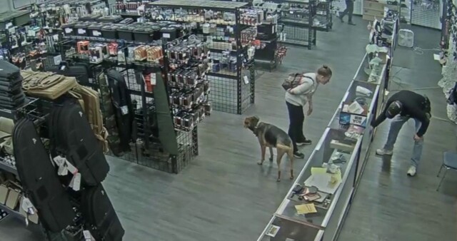 Бездомная попыталась похитить пистолет из оружейного магазина