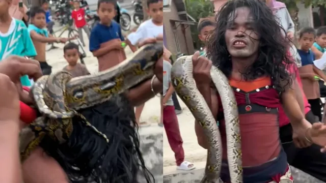 Смертельное объятие змеи