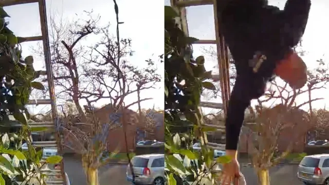 Праздничная неудача: мужчина упал с лестницы, вешая гирлянды