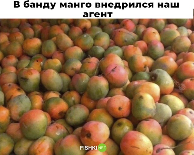 Смешные картинки