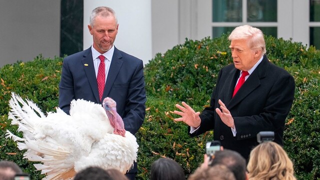 Трамп помиловал двух индеек на День благодарения