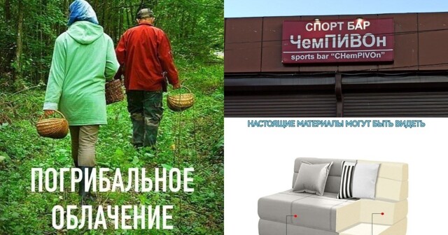 Неронка и ЖЖ: сборник каламбуров и лингвошуток