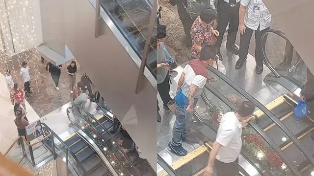 Эскалатор экстренно отключили после того, как собака застряла хвостом