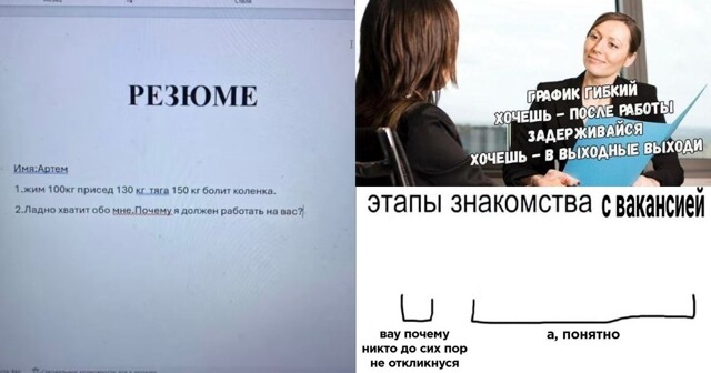 "Почему мы должны выбрать именно вас?": мемы про работу и её поиск