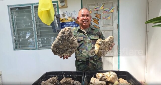 Таец продает 55 килограммов затвердевшей рвоты кашалота